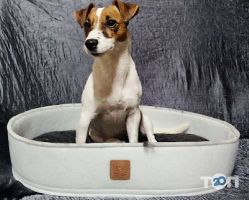 Zoolandia.com.ua Киев фото