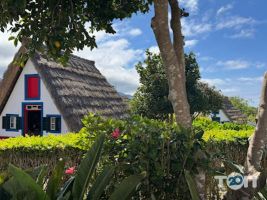відгуки про Bodo Travel фото