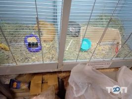 відгуки про ЗооЕліта фото