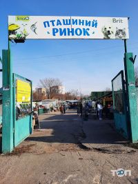 Продовольчі бази і ринки Пташиний ринок фото