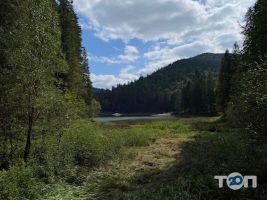Flixess відгуки фото