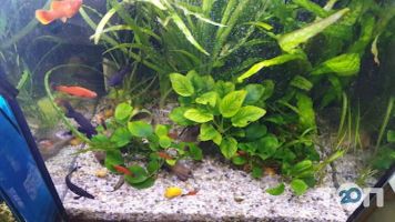 Аквамир на Позняках отзывы фото