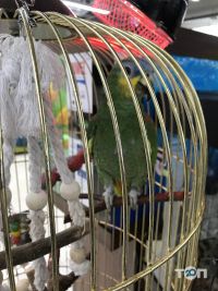 MasterZoo відгуки фото