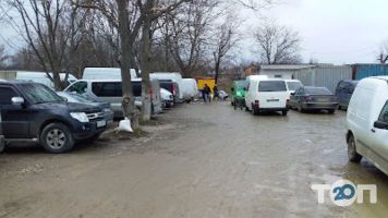 Стоянка відгуки фото