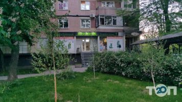 Zoo Room відгуки фото