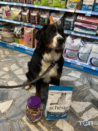 Зоомагазины и услуги для животных Зоомагазин ЗооБонус Саксаганского Шевченковский Киев фото