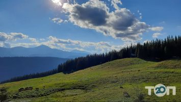 отзывы о Перевал фото