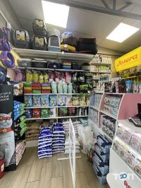 отзывы о Animal kingdom shop фото