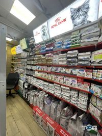 Animal kingdom shop отзывы фото