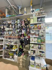 Зоомагазины и услуги для животных Animal kingdom shop фото