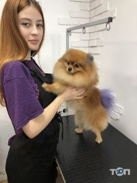 All-Grooming Київ фото