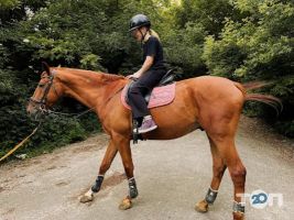 Спортивні секції Школа верхової їзди Марії Бродською фото