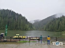 Черновицкое экскурсионное бюро отзывы фото