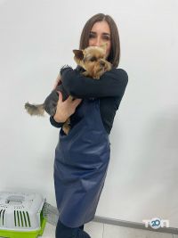 All-Grooming, грумінг-салон фото