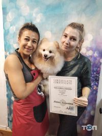 All-Grooming відгуки фото