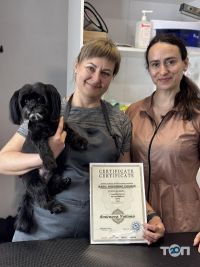 Зоомагазини і послуги для тварин All-Grooming фото