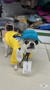 Master Zoo Київ фото