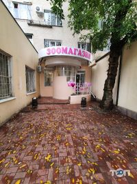 Зоомагазини і послуги для тварин King 👑 Zoo фото