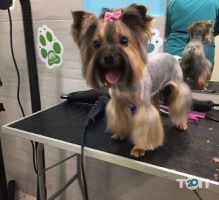 Center ZOO, грумінг-салон фото