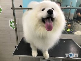 Center ZOO Одеса фото