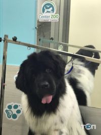 Center ZOO відгуки фото