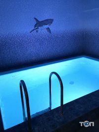 Шампань Харків фото