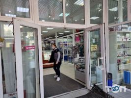 Арника отзывы фото