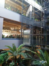 відгуки про Острів фото