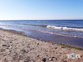 отзывы о Пикник фото