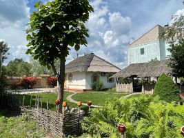 отзывы о Чайка фото