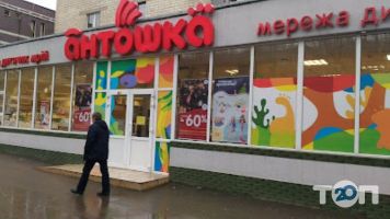 Антошка Черновцы фото