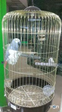 отзывы о MasterZoo фото