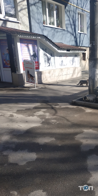 Зоомагазины и услуги для животных Royal kanin фото