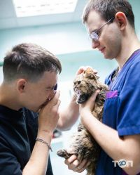 відгуки про Vet.ua фото