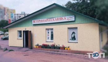 АртВет, ветеринарная клиника фото