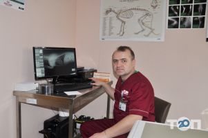 відгуки про Vet Health фото