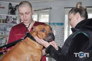Vet Health, ветеринарна клініка - фото 10