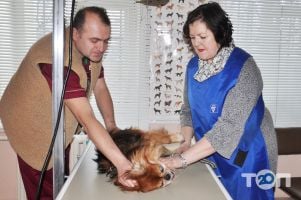 Ветеринарна клініка на Максимовича - фото 9