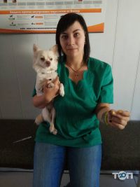 відгуки про Ветус фото