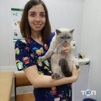 відгуки про Ветус фото