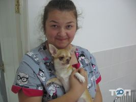 Vip хвіст Вінниця відгуки фото