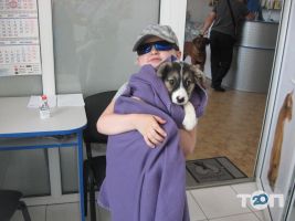 Vip хвіст Винница отзывы фото