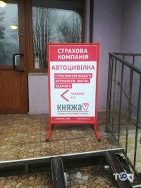 Княжа Вієнна Іншуранс Груп Львів фото