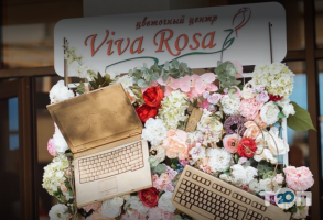 Viva Rosa отзывы фото