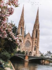 відгуки про Wanderlust фото