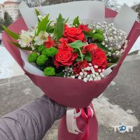 ALinery отзывы фото