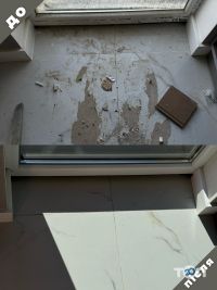 відгуки про Zebra фото