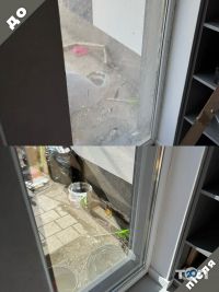 Zebra Кропивницький фото