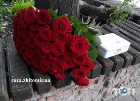 Roses, доставка квітів фото
