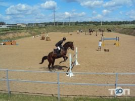 Золотая грива, конно-спортивный клуб фото